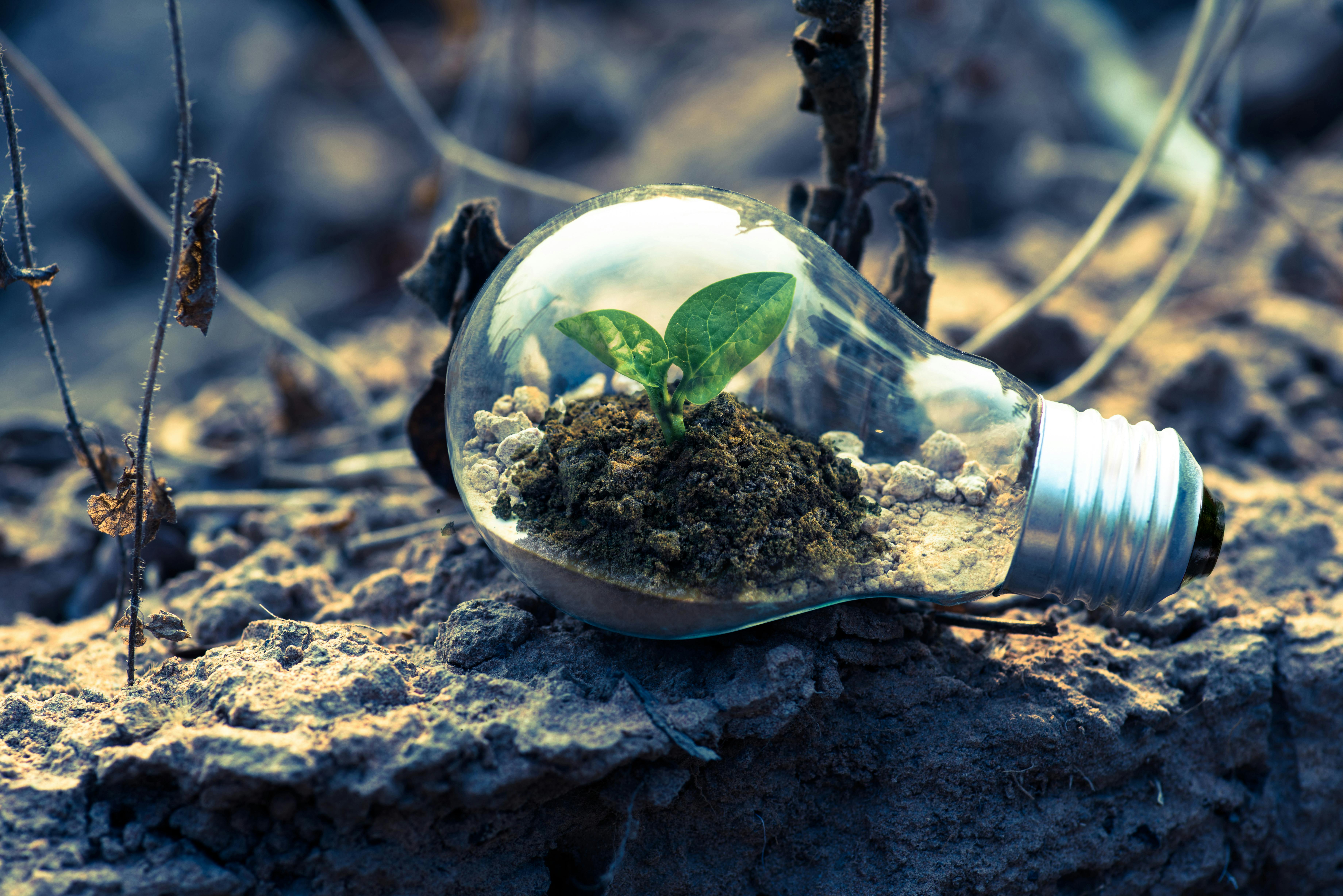 SISTEMA DE GESTIÓN AMBIENTAL ISO 14001:2015